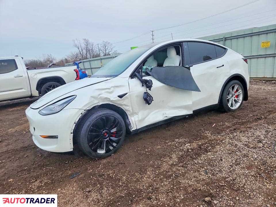 Tesla Model Y 2021