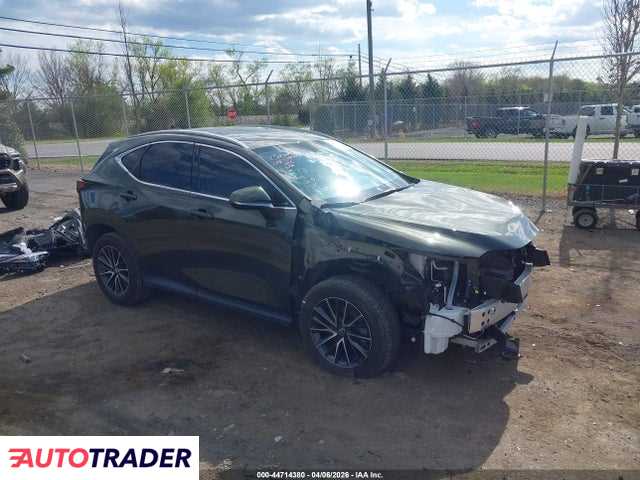 Lexus NX 2024 2
