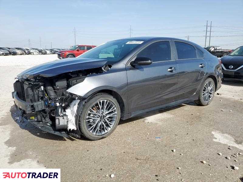 Kia Pozostałe 2024 2