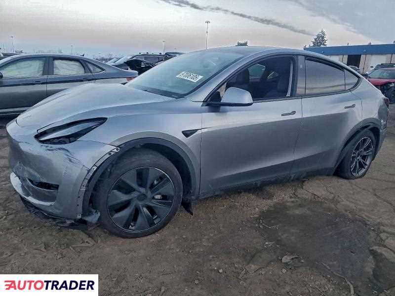 Tesla Model Y 2025
