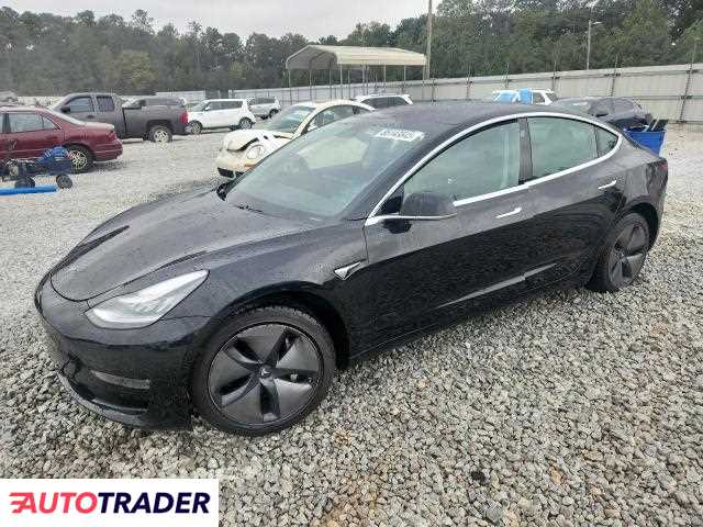 Tesla Model 3 2019