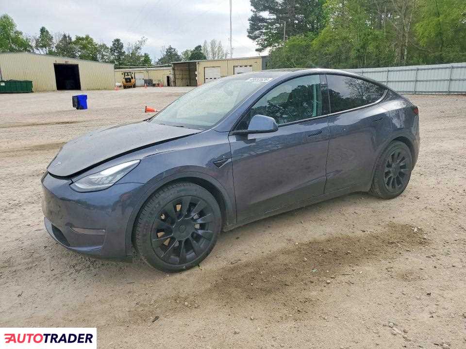 Tesla Model Y 2020