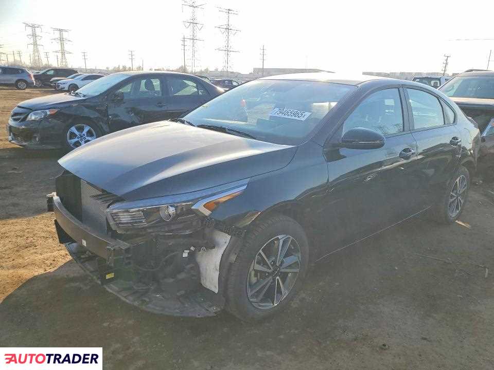 Kia Pozostałe 2024 2
