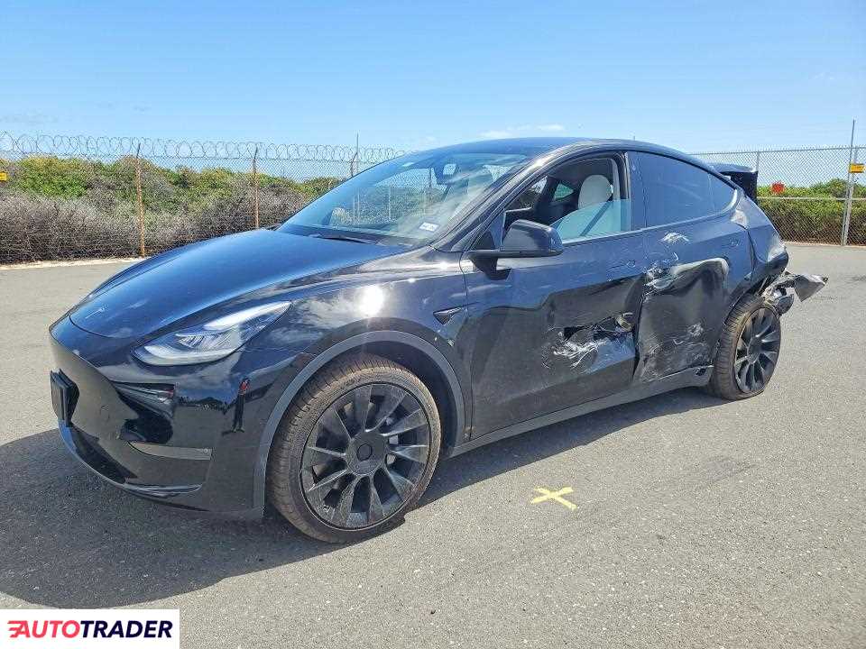 Tesla Model Y 2021