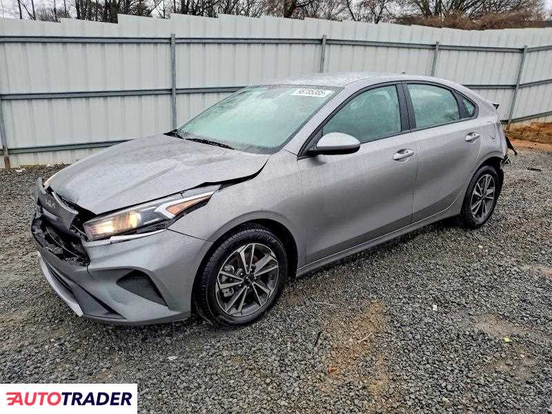 Kia Pozostałe 2024 2