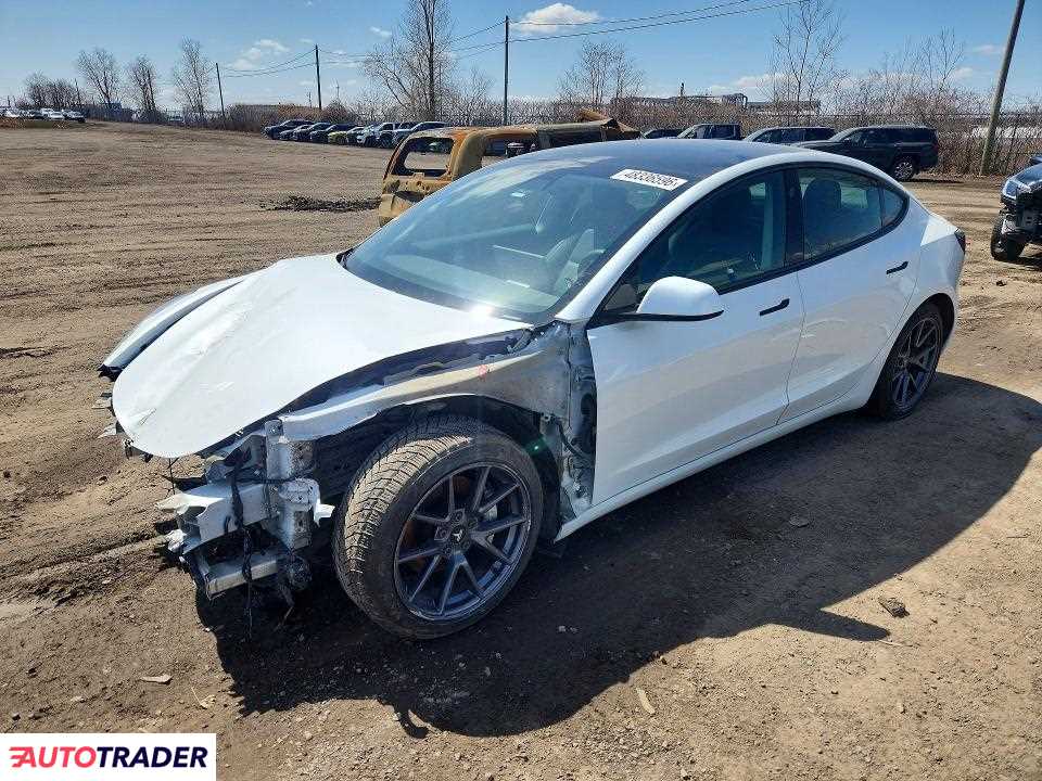 Tesla Model 3 2021