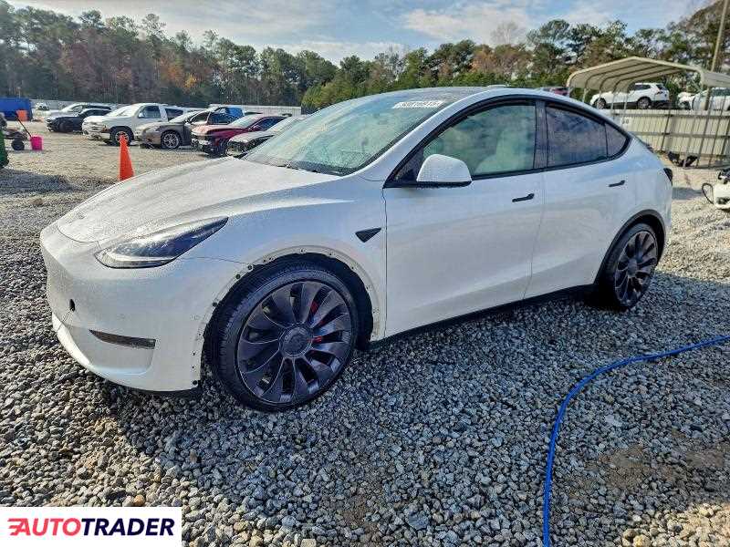 Tesla Model Y 2021