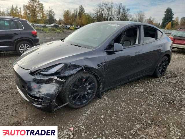 Tesla Model Y 2024