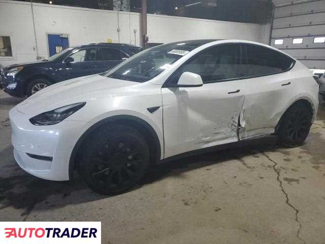 Tesla Model Y 2021