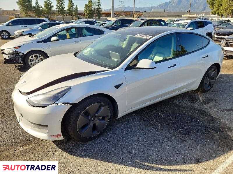 Tesla Model 3 2021