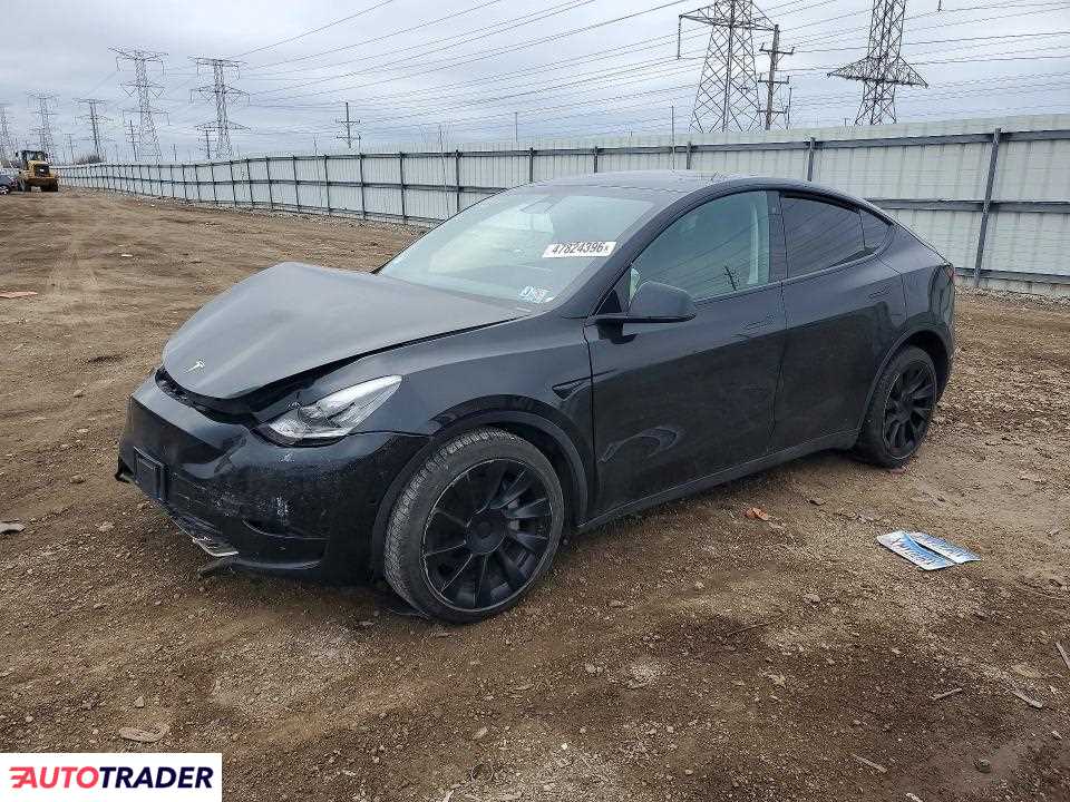 Tesla Model Y 2020