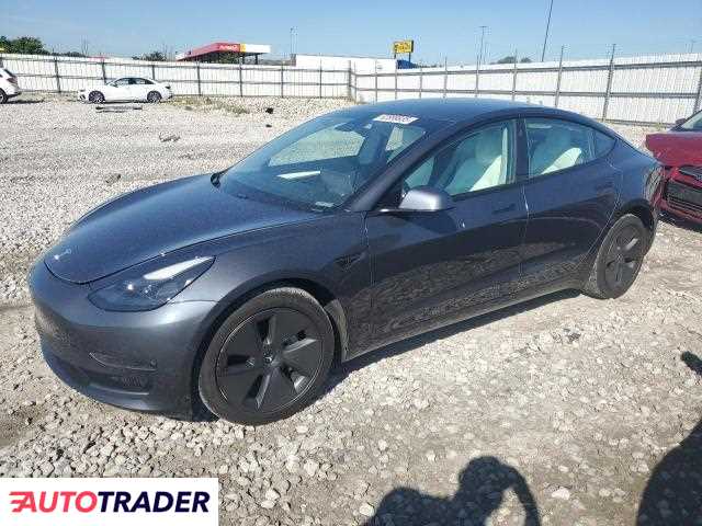 Tesla Model 3 2021 Tesla Model 3 2021