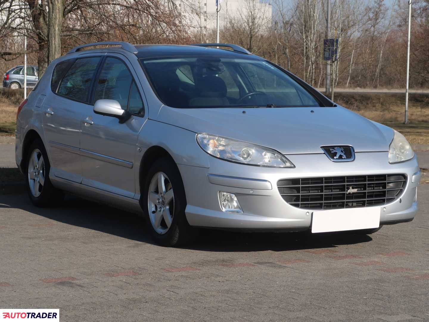 Peugeot 407 2009 2.0 138 KM