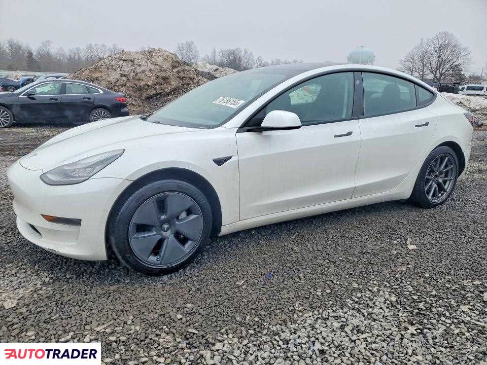 Tesla Model 3 2021