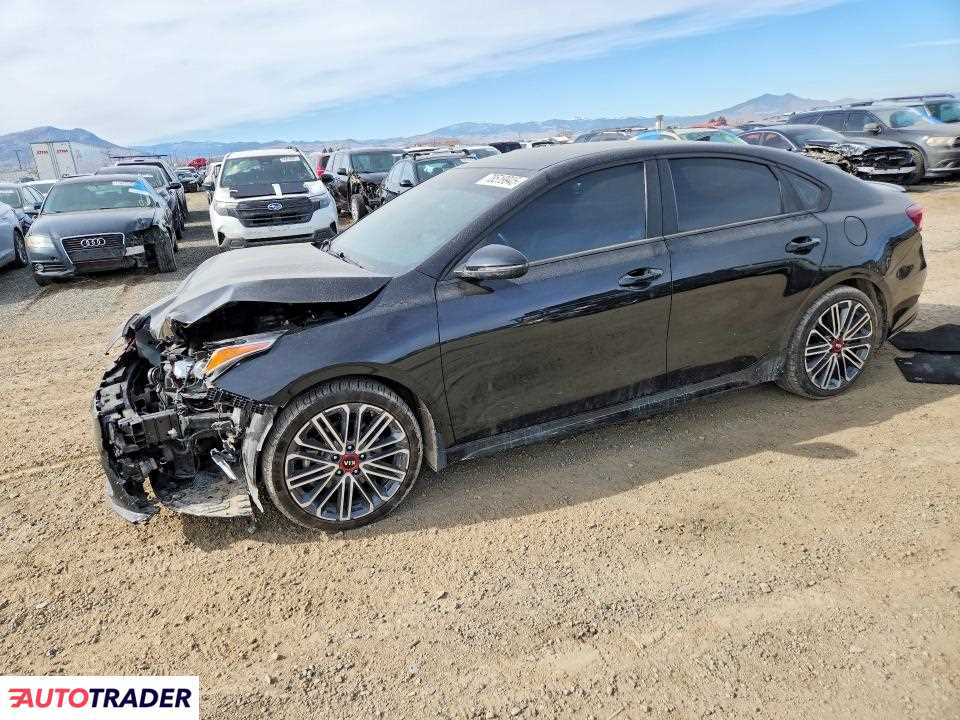 Kia Pozostałe 2021 1