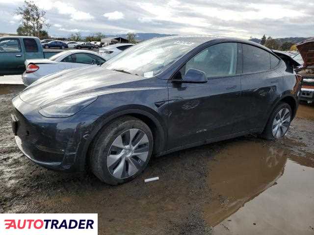 Tesla Model Y benzyna 2024r. (SAN MARTIN)