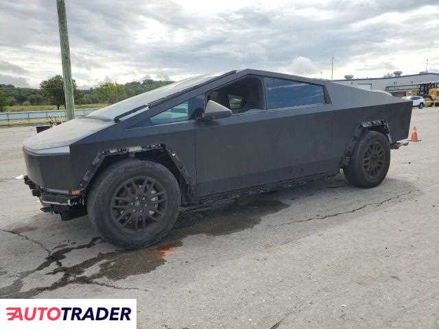 Tesla Pozostałe 2024