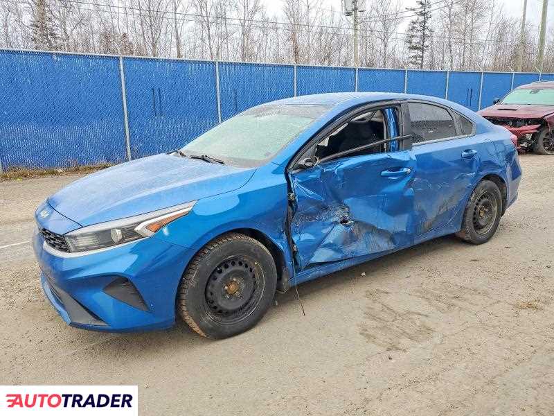 Kia Pozostałe 2022 2