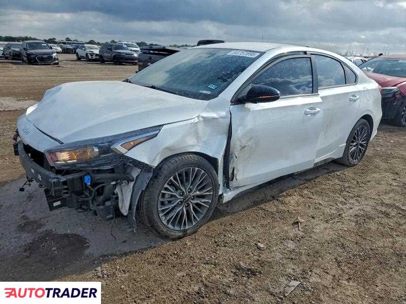 Kia Pozostałe 2024 2