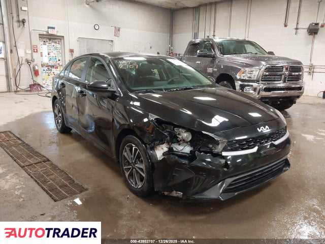 Kia Pozostałe 2024 2