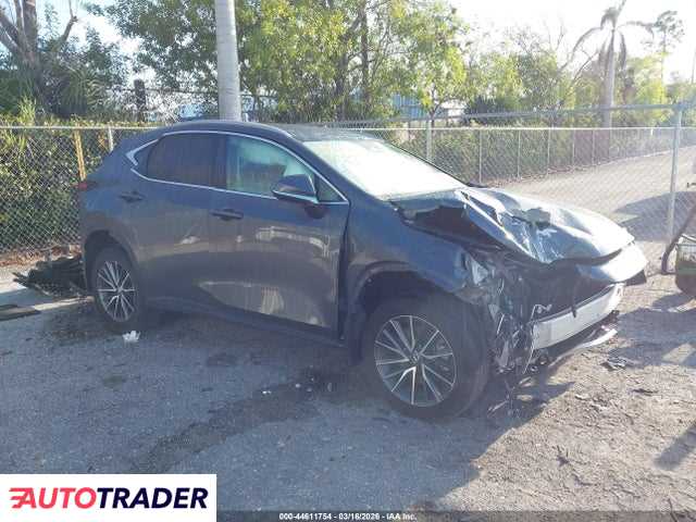 Lexus NX 2024 2