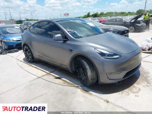 Tesla Model Y 2021 Tesla Model Y 2021
