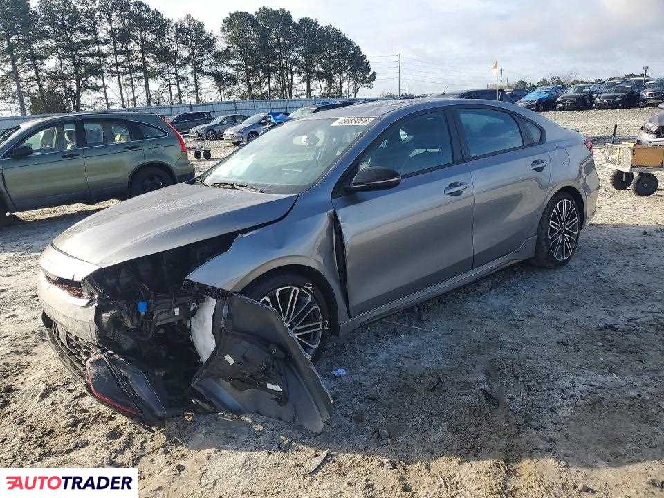 Kia Pozostałe 2024 1