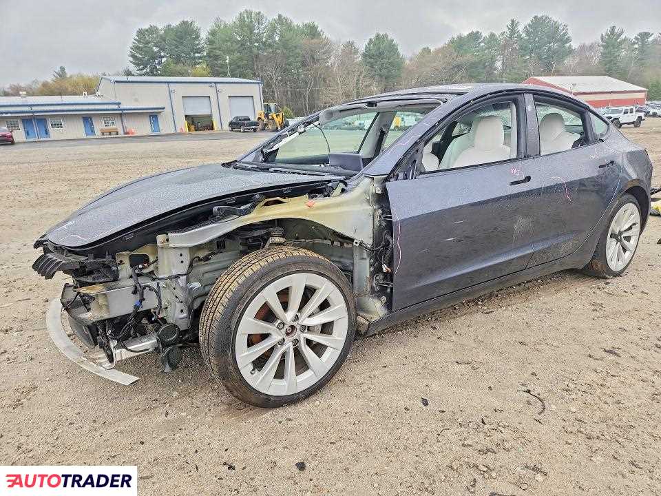 Tesla Model 3 2021