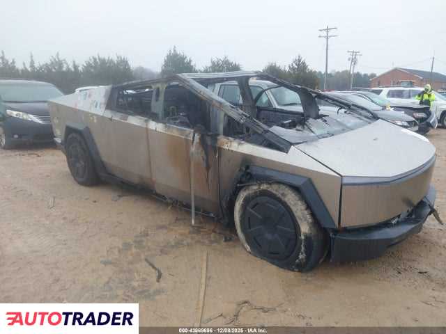 Tesla Pozostałe 2024