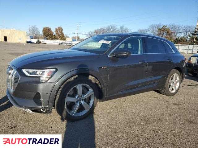 Audi E-tron 2019