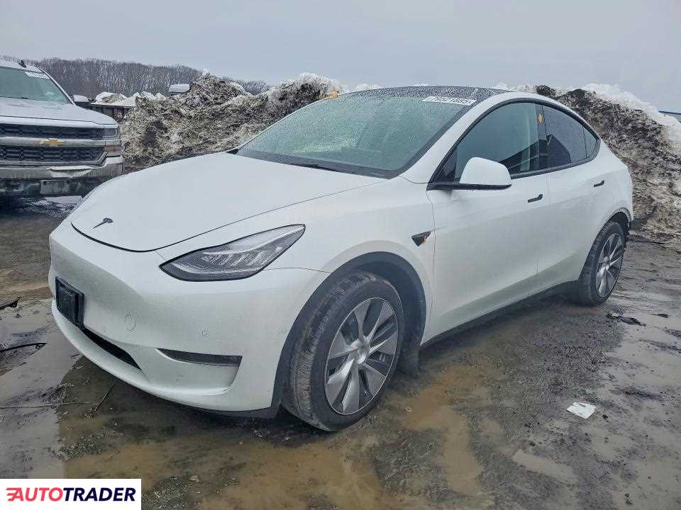 Tesla Model Y 2021