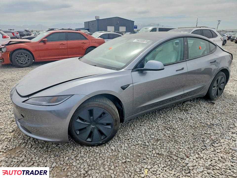 Tesla Model 3 2025