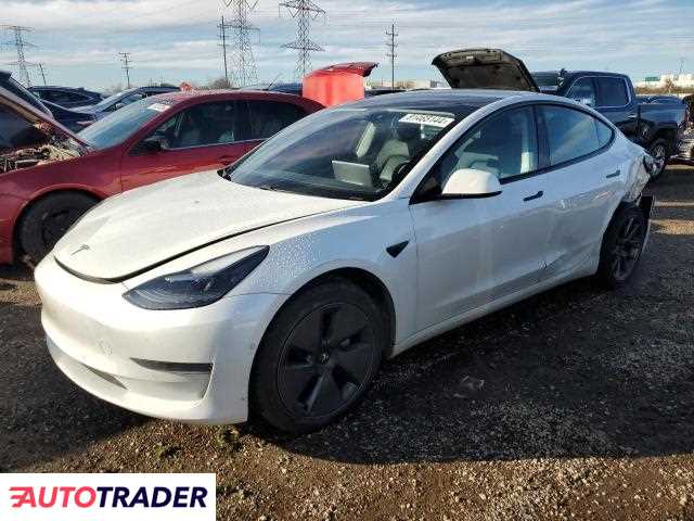 Tesla Model 3 2021