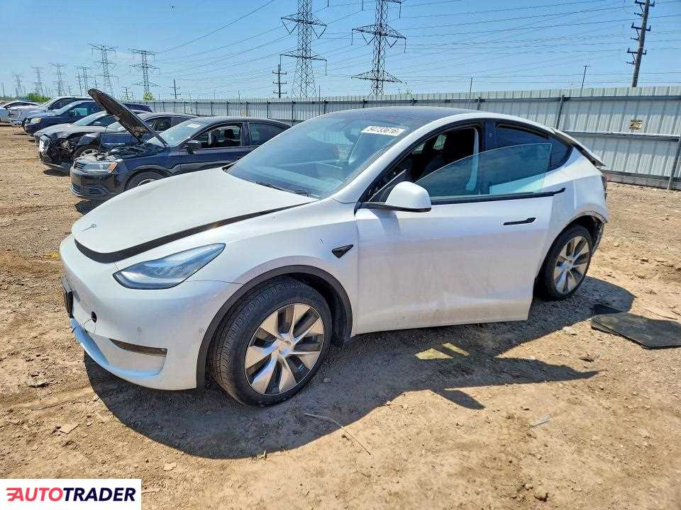 Tesla Model Y 2021