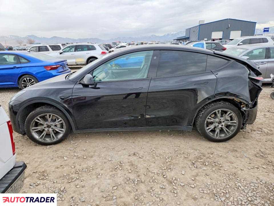 Tesla Model Y 2024