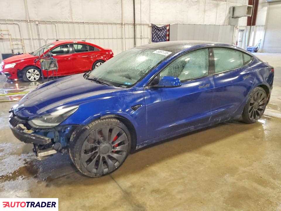 Tesla Model 3 2021