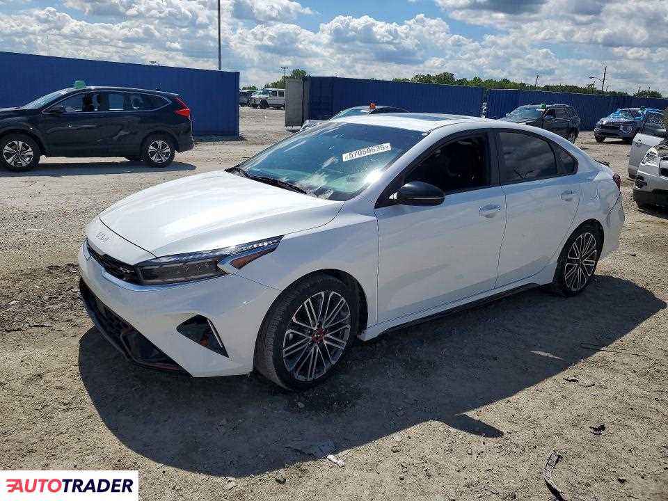 Kia Pozostałe 2024 1