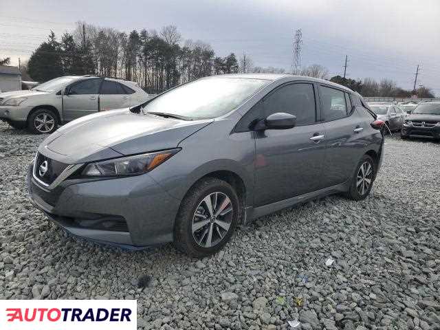 Nissan Leaf 2021 Nissan Leaf 2021