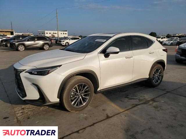 Lexus NX 2024 2