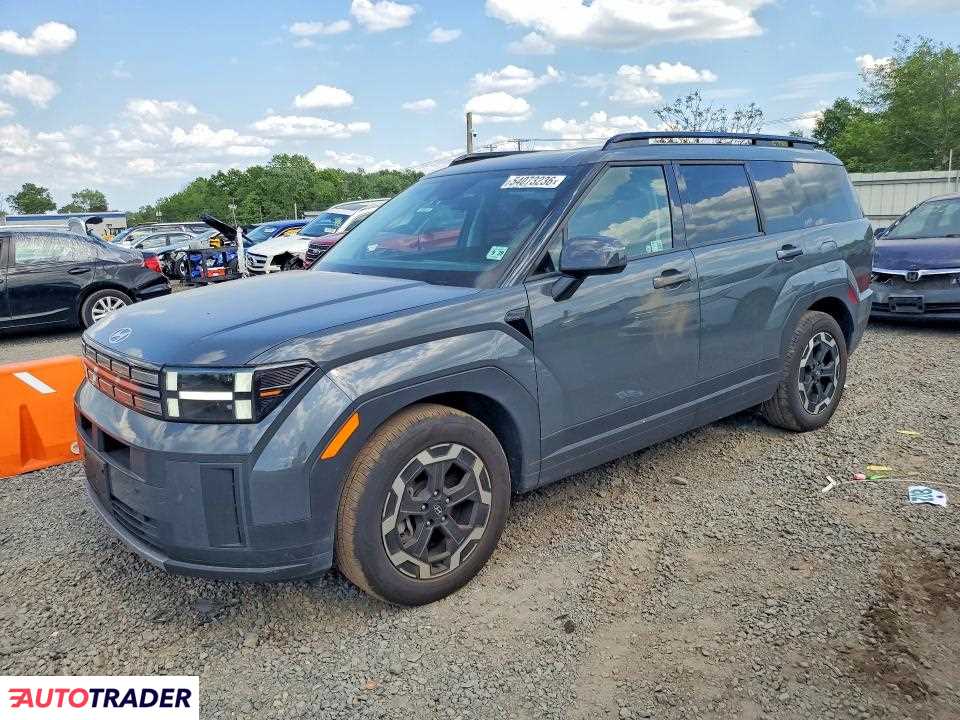 Hyundai Santa Fe 2024 2