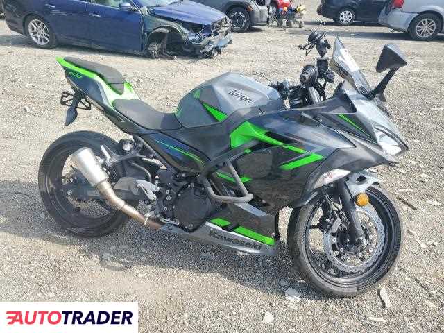 Kawasaki Pozostałe 2019 Kawasaki Pozostałe 2019