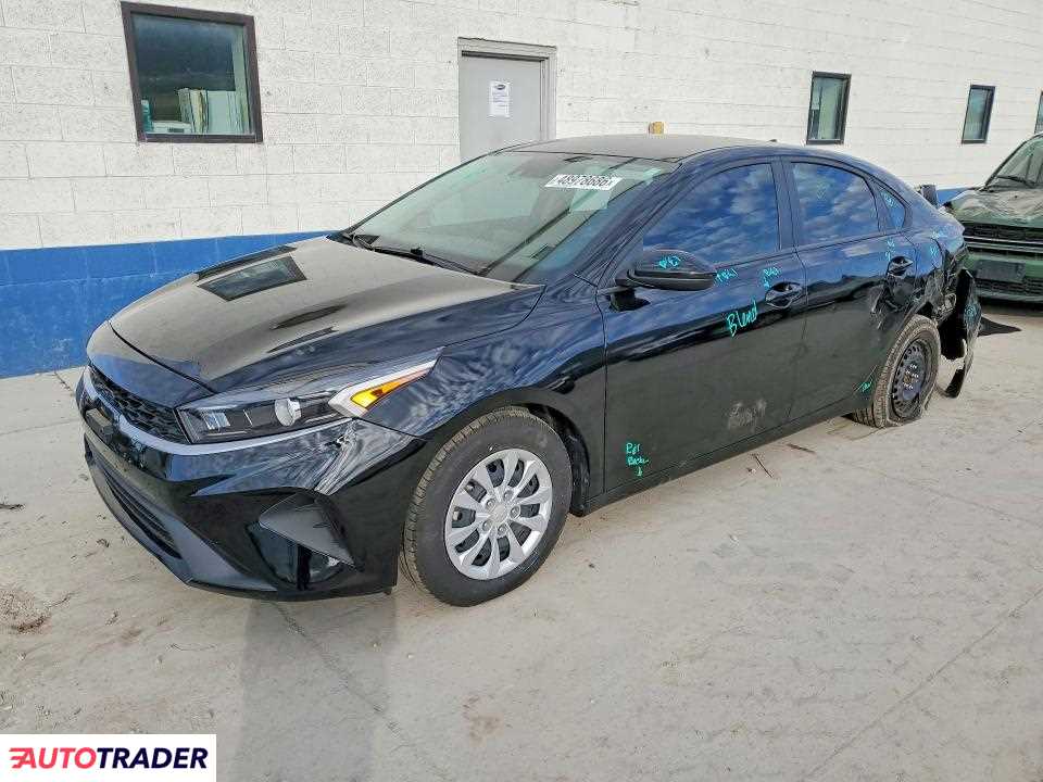 Kia Pozostałe 2024 2