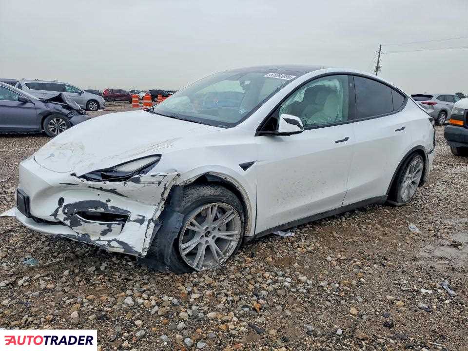 Tesla Model Y 2021