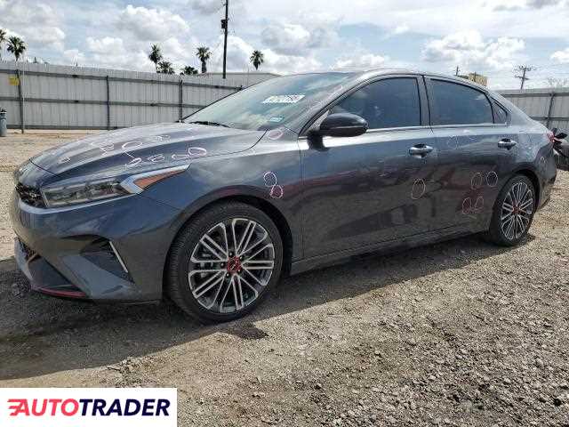 Kia Pozostałe 2024 1 Kia Pozostałe 2024 1