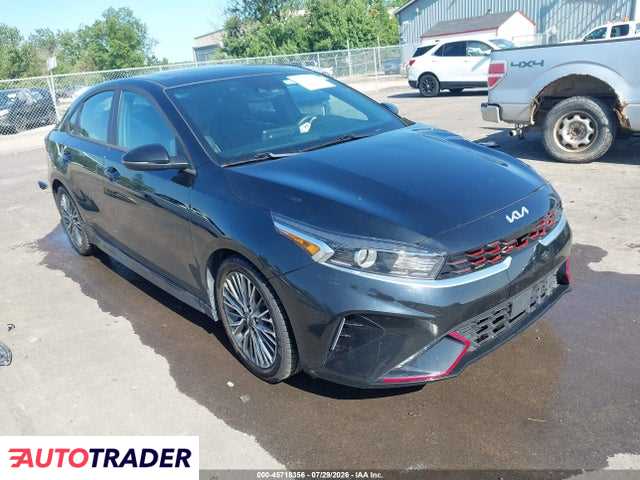 Kia Pozostałe 2024 2