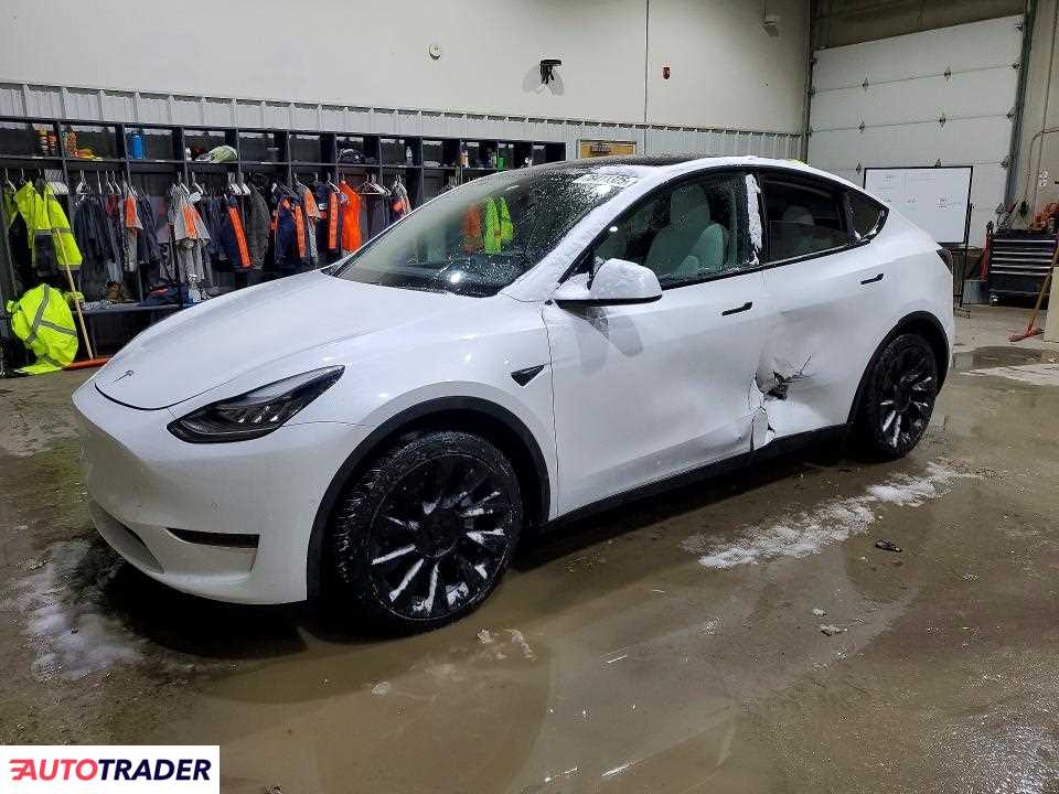 Tesla Model Y 2021