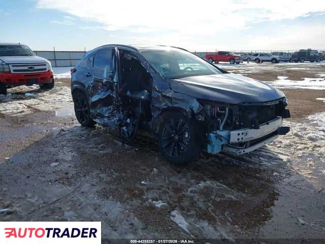 Lexus NX 2024 2