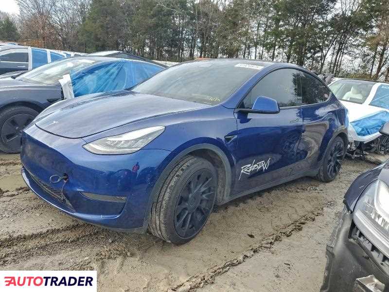 Tesla Model Y 2020