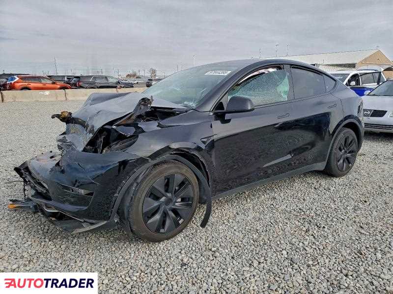 Tesla Model Y 2025