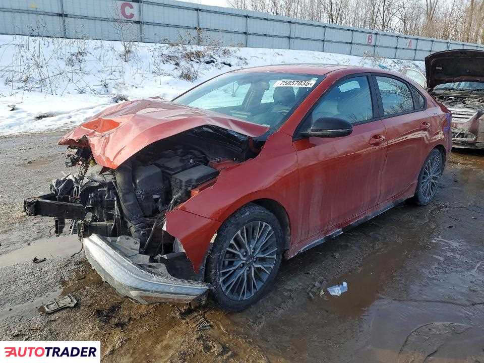 Kia Pozostałe 2022 2